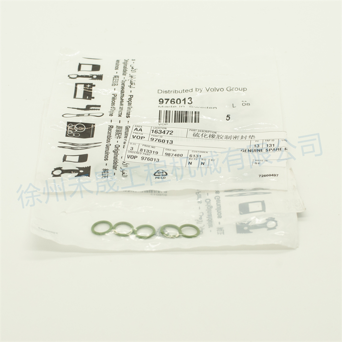  气门油封 976013/11700348