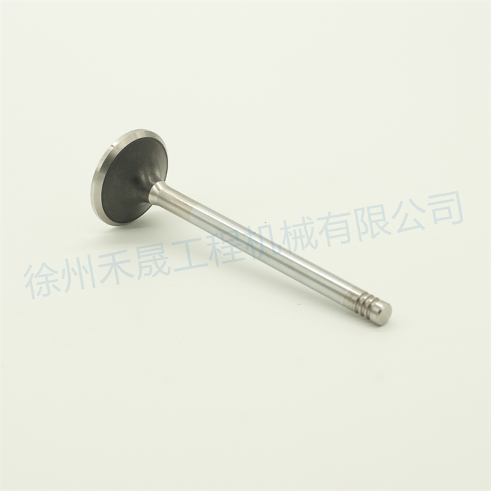  排气门 21739130/20755883