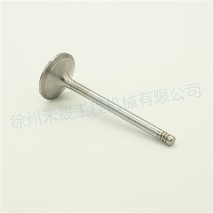  进气门 21896344/20758481